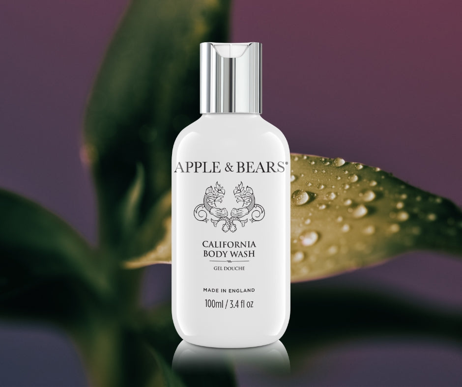 Body Wash Bergamotte & Grüner Tee (Reisegröße)