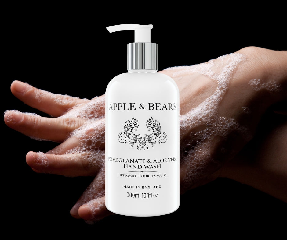 Pomegranate & Aloe Vera Hand Wash 300ml /10.1 fl oz