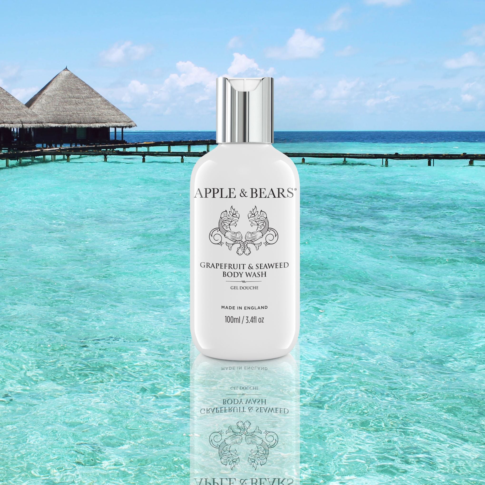 Grapefruit &amp; Seaweed Body Wash Travel 100ml /3.4 fl oz